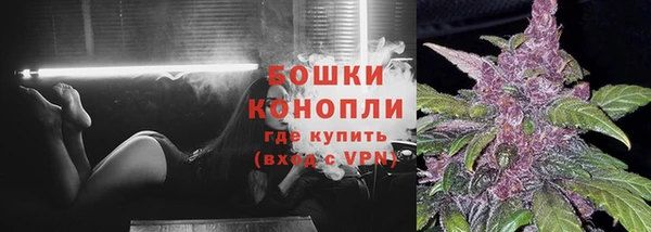 спиды Пестово