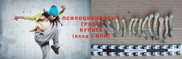 мет Пересвет