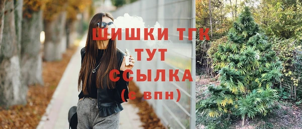 спиды Пестово