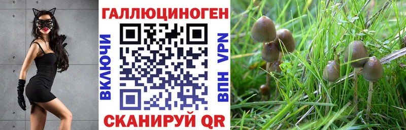 купить наркотики сайты  blacksprut зеркало  Псилоцибиновые грибы мухоморы  Руза 